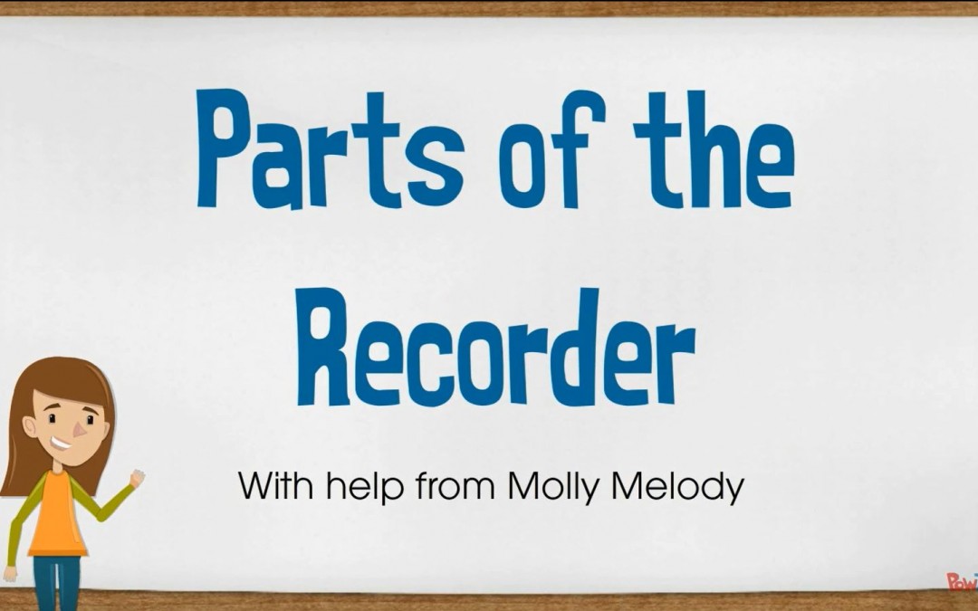 parts of the recorder